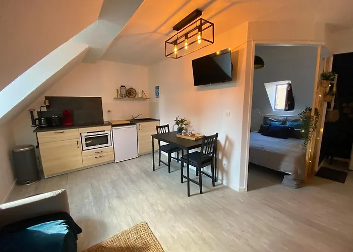 Chez Denise, Cosy Au Centre-ville Apartment Dijon